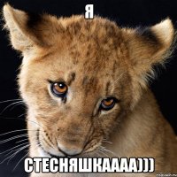 Я Стесняшкаааа)))