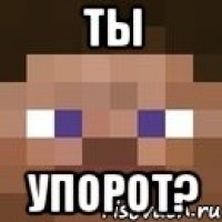 ТЫ УПОРОТ?