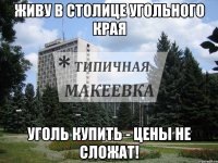 Живу в Столице Угольного Края Уголь купить - цены не сложат!