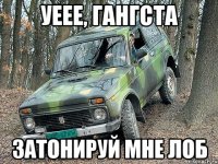 Уеее, гангста затонируй мне лоб