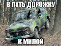 В путь дорожку К милой