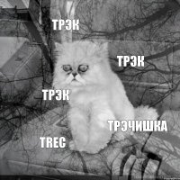 трэк ТРЭК трЭк ТРЭЧИШКА trec