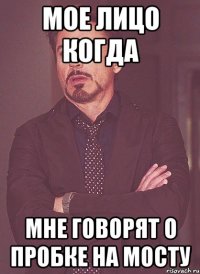 Мое лицо когда Мне говорят о пробке на мосту