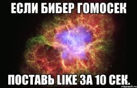 Если Бибер гомосек поставь LIKE за 10 сек.