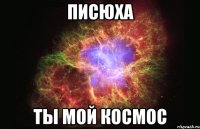 писюха ты мой космос