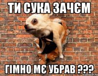 Ти сука зачєм гімно мє убрав ???