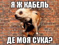 Я ж кабель де моя сука?