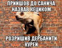 прийшов до санича назвав кециком розришив дербанити курей