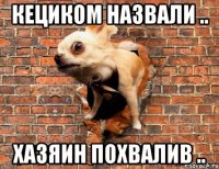 кециком назвали .. хазяин похвалив ..