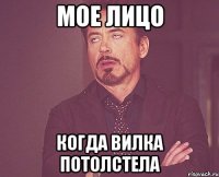 Мое лицо когда Вилка потолстела