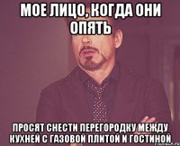 мое лицо, когда они опять просят снести перегородку между кухней с газовой плитой и гостиной