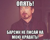 Опять! Барсик не писай на мою кравать!