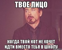 ТВОЕ ЛИЦО КОГДА ТВОЙ КОТ НЕ ХОЧЕТ ИДТИ ВМЕСТО ТЕБЯ В ШКОЛУ