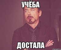 Учёба достала
