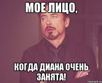 Мое лицо, когда Диана очень занята!