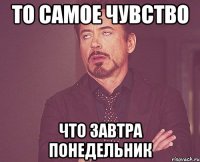 то самое чувство что завтра понедельник