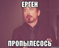 Ерген Пропылесось
