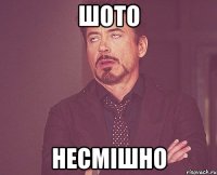 Шото несмішно