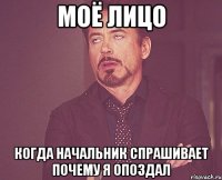 Моё лицо Когда начальник спрашивает почему я опоздал