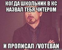 Когда школьник в кс назвал тебя читером и прописал /voteban