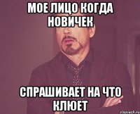 Мое лицо когда новичек спрашивает на что клюет