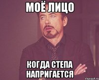 Моё лицо Когда степа напригается