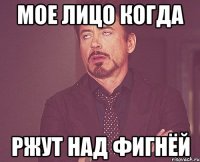 Мое лицо когда ржут над фигнёй