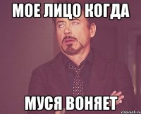 мое лицо когда муся воняет