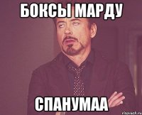 Боксы Марду Спанумаа