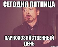 Сегодня пятница Паркохозяйственный день