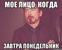 Мое лицо, когда завтра понедельник