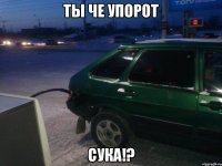 ТЫ ЧЕ УПОРОТ СУКА!?