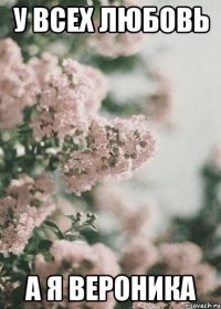 У всех любовь а я Вероника