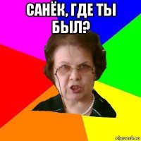 САНЁК, ГДЕ ТЫ БЫЛ? 