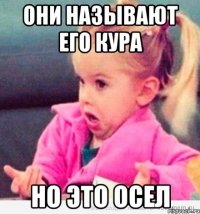 Они называют его кура но это осел