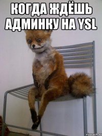 Когда ждёшь админку на YSL 