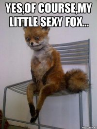 Yes,of course,my little sexy fox... 