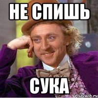 Не спишь сука