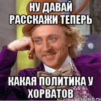 Ну давай расскажи теперь Какая политика у хорватов
