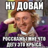 ну довай росскажы мне что дегу это крыса