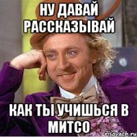 ну давай рассказывай как ты учишься в МИТСО