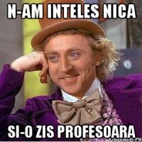 N-am inteles nica si-o zis profesoara