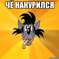 чё накурился 