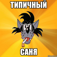 Типичный Саня