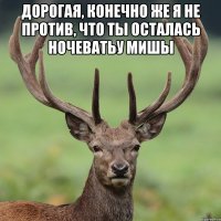 Дорогая, конечно же я не против, что ты осталась ночеватьу Мишы 