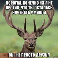 Дорогая, конечно же я не против, что ты осталась ночевать у Мишы Вы же просто друзья