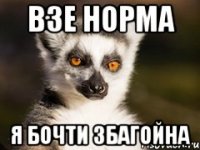 Взе норма Я бочти збагойна