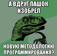 а вдруг Пашок изобрел новую методологию программирования?