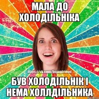 Мала до холодільніка був холодільнік і нема холлдільника