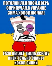 потолок ледяной,дверь скрипучая,в украине зима холоднючая! газа нет,нет тепла.всюду иней.только скачет хохол синий